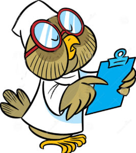 gufo-medico