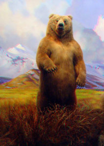 Orso