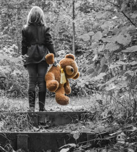 Orso teddy