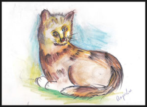 GATTO