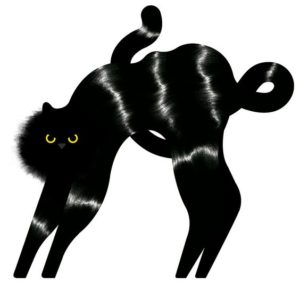 gatto 2